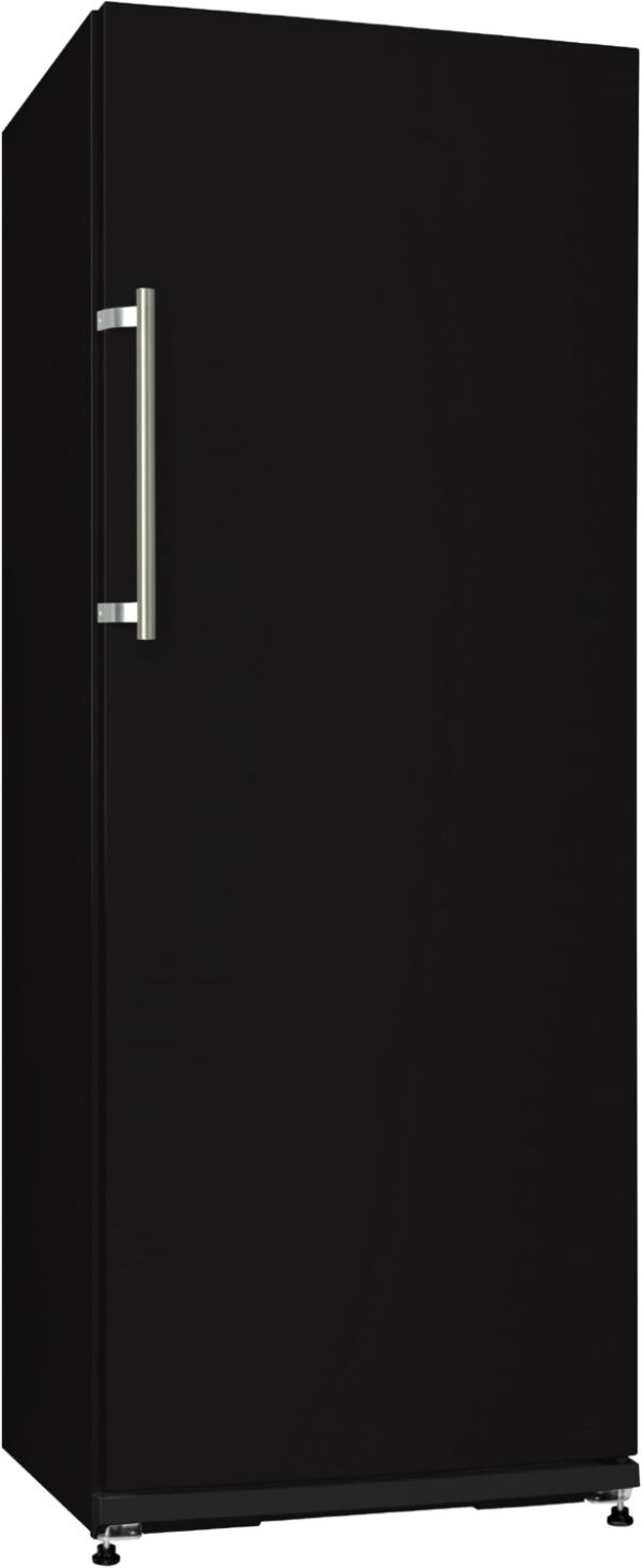Nabo FK2663 Kühlschrank mit geschlossener Tür in der Fabre Schwarz